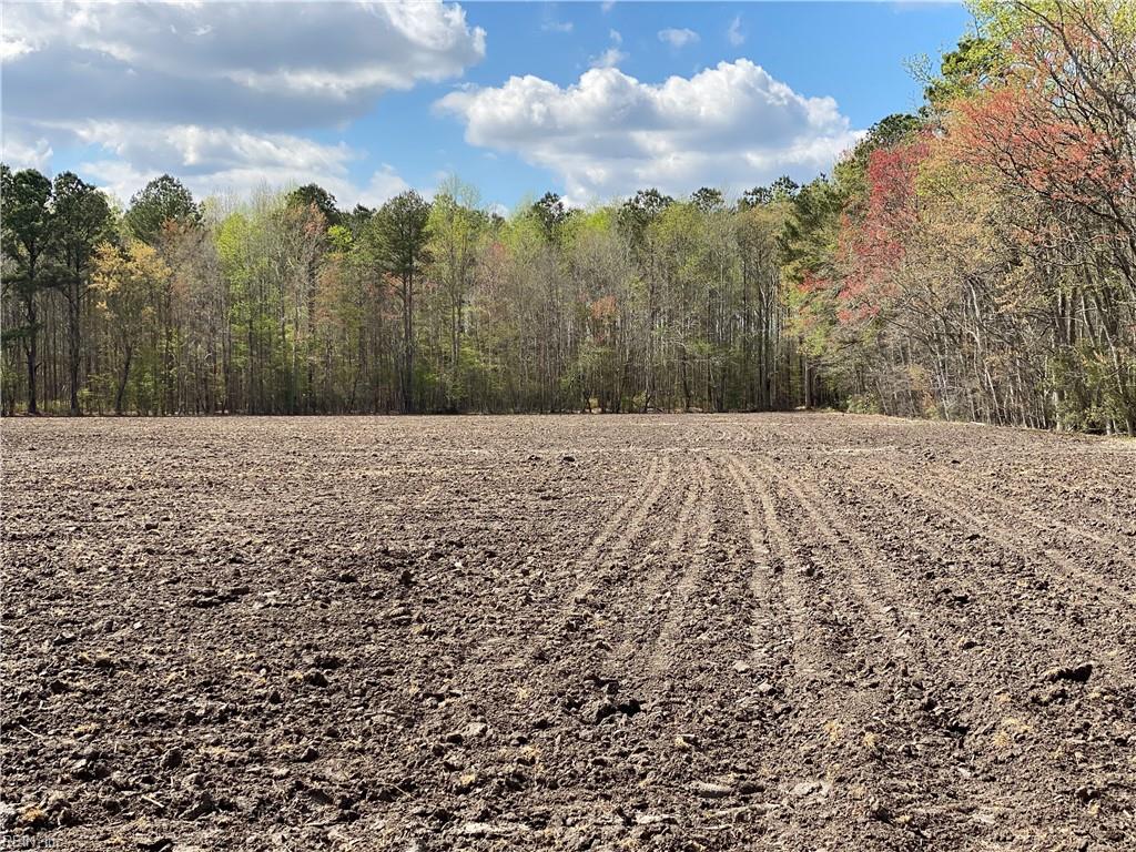 42 Ac Saint Brides Rd W Property Photo 31