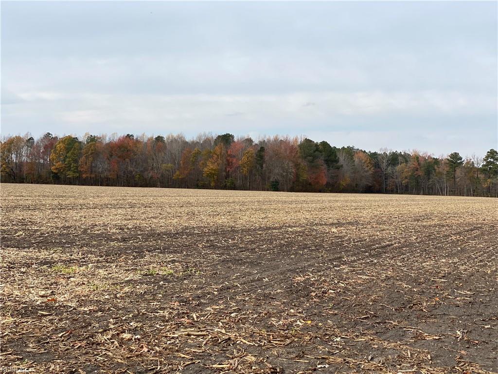 42 Ac Saint Brides Rd W Property Photo 33