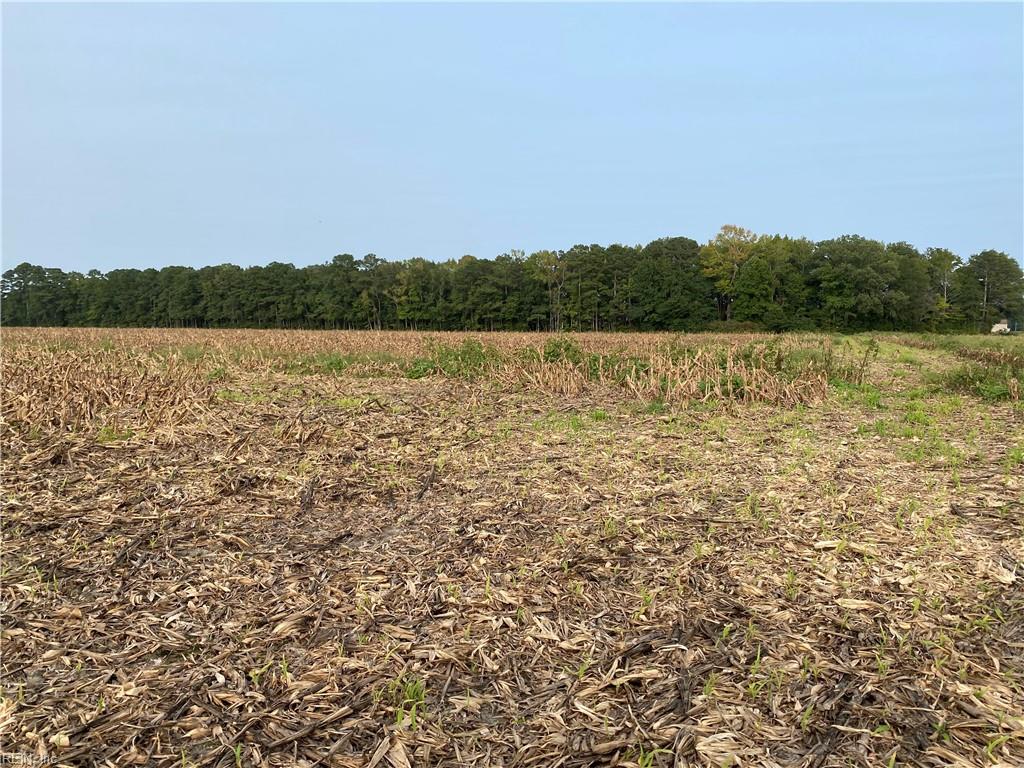 42 Ac Saint Brides Rd W Property Photo 34