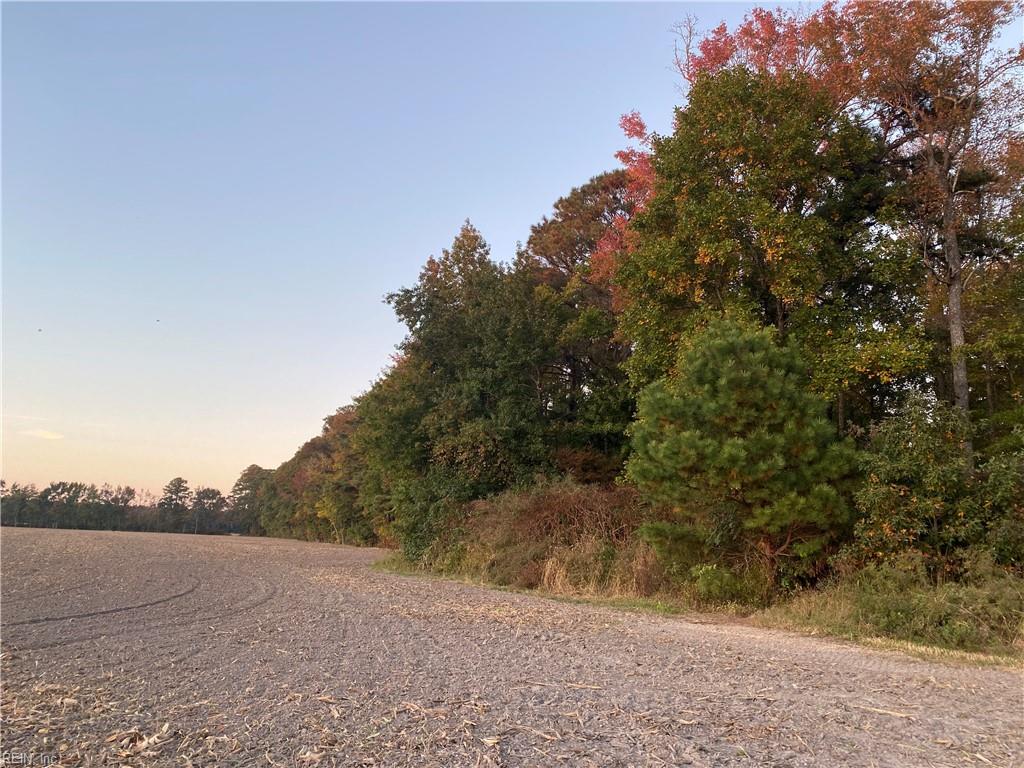 42 Ac Saint Brides Rd W Property Photo 36