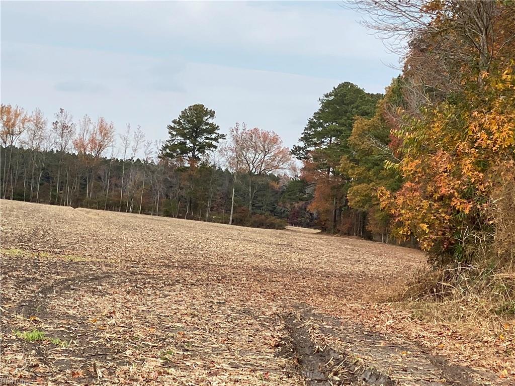 42 Ac Saint Brides Rd W Property Photo 38