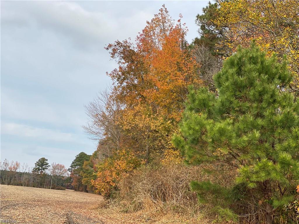 42 Ac Saint Brides Rd W Property Photo 40