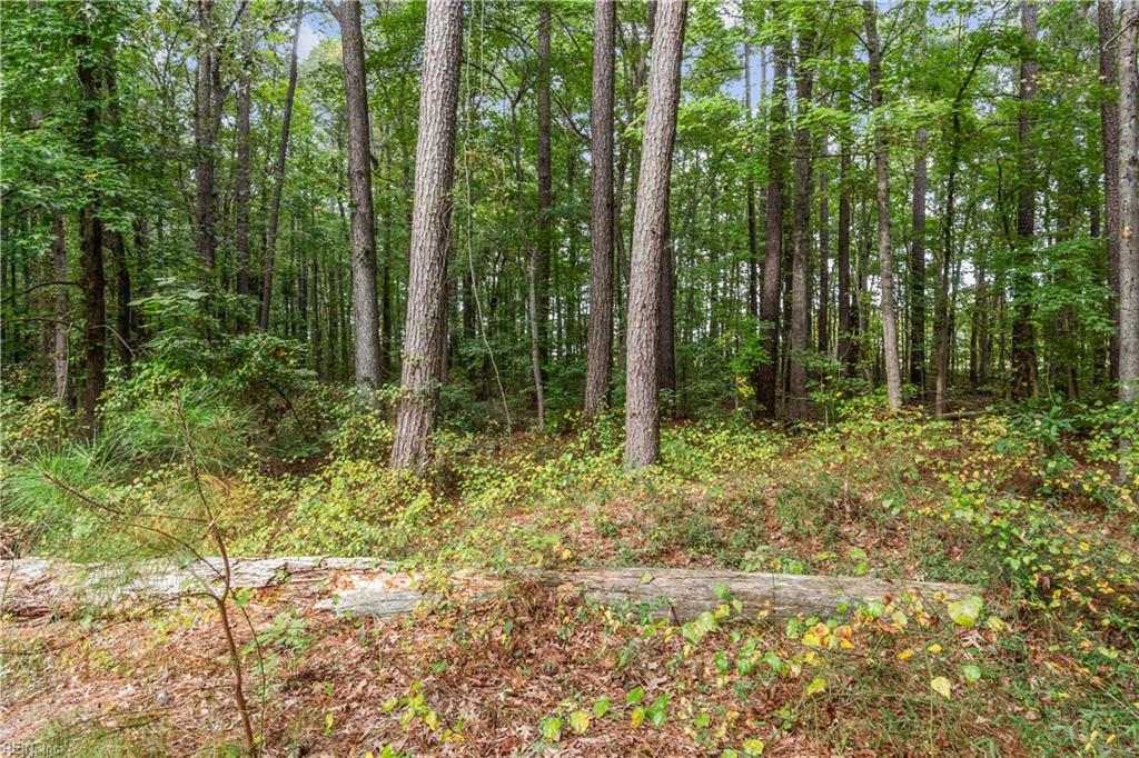 1025 Taft Rd Property Photo 27