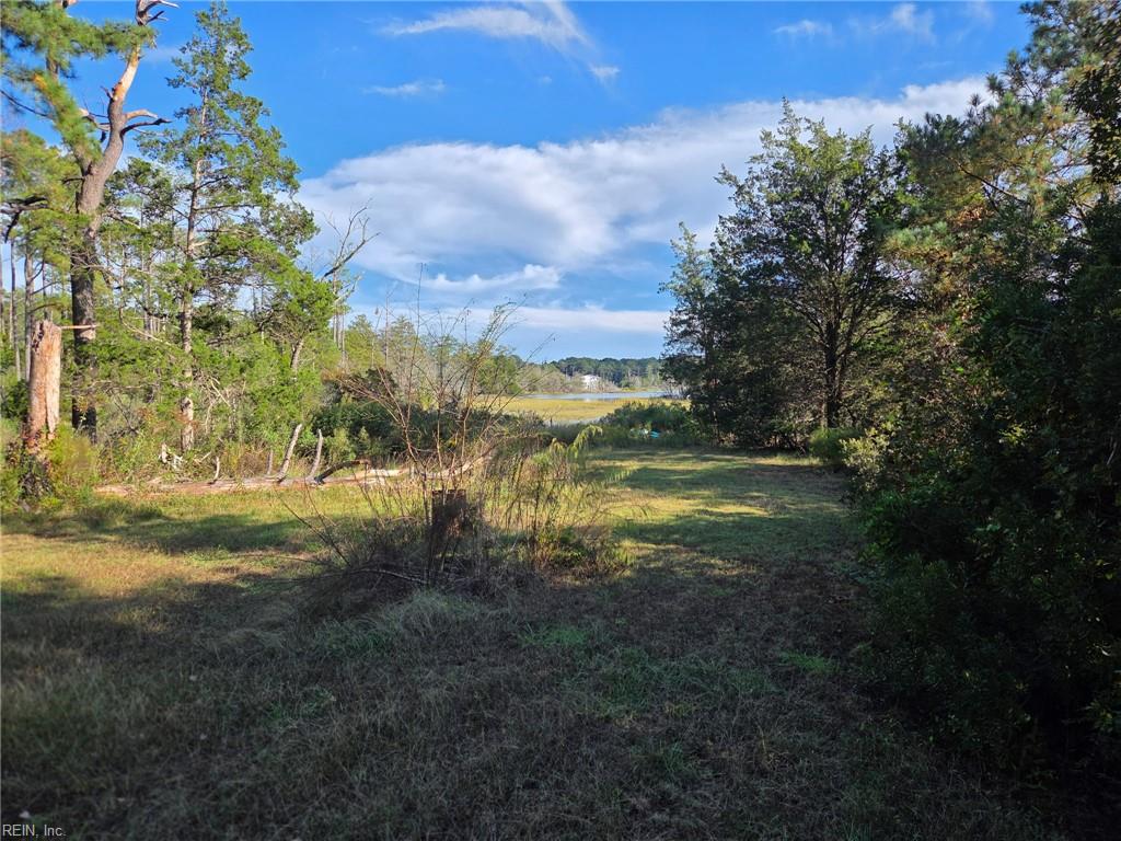 349 Pepper Cove Way Property Photo 3