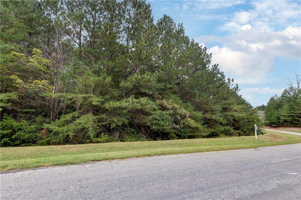3323 Morning Mist Ln Property Photo 28