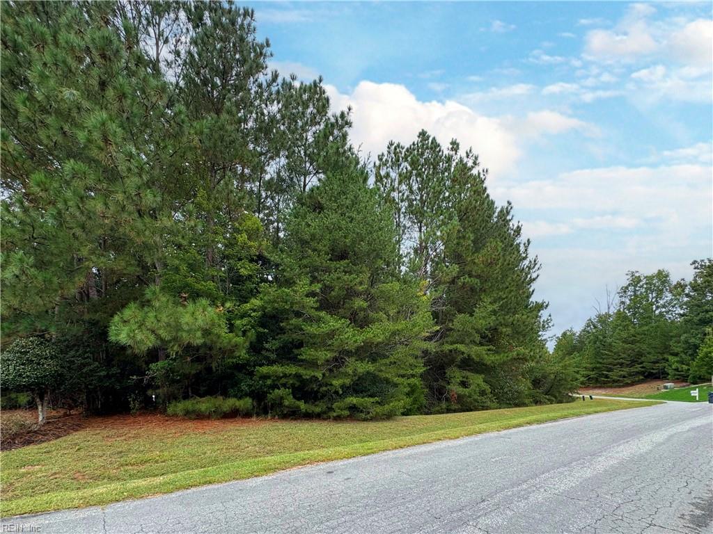 3323 Morning Mist Ln Property Photo 37