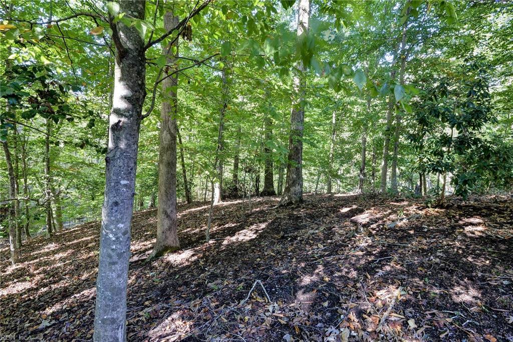 4719 Levingston Ln Property Photo 36