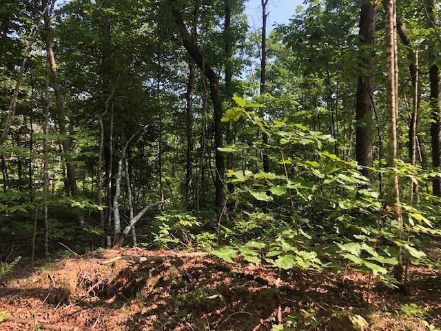 026 Dogwood Flat Road Property Photo 2