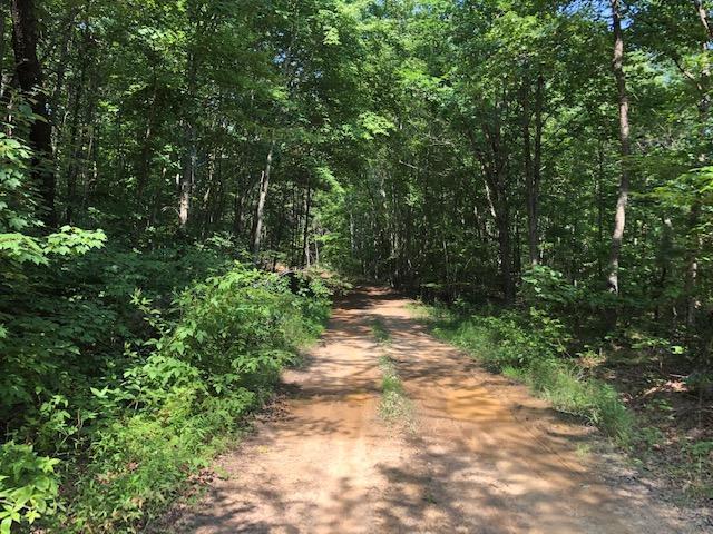 026 Dogwood Flat Road Property Photo 3