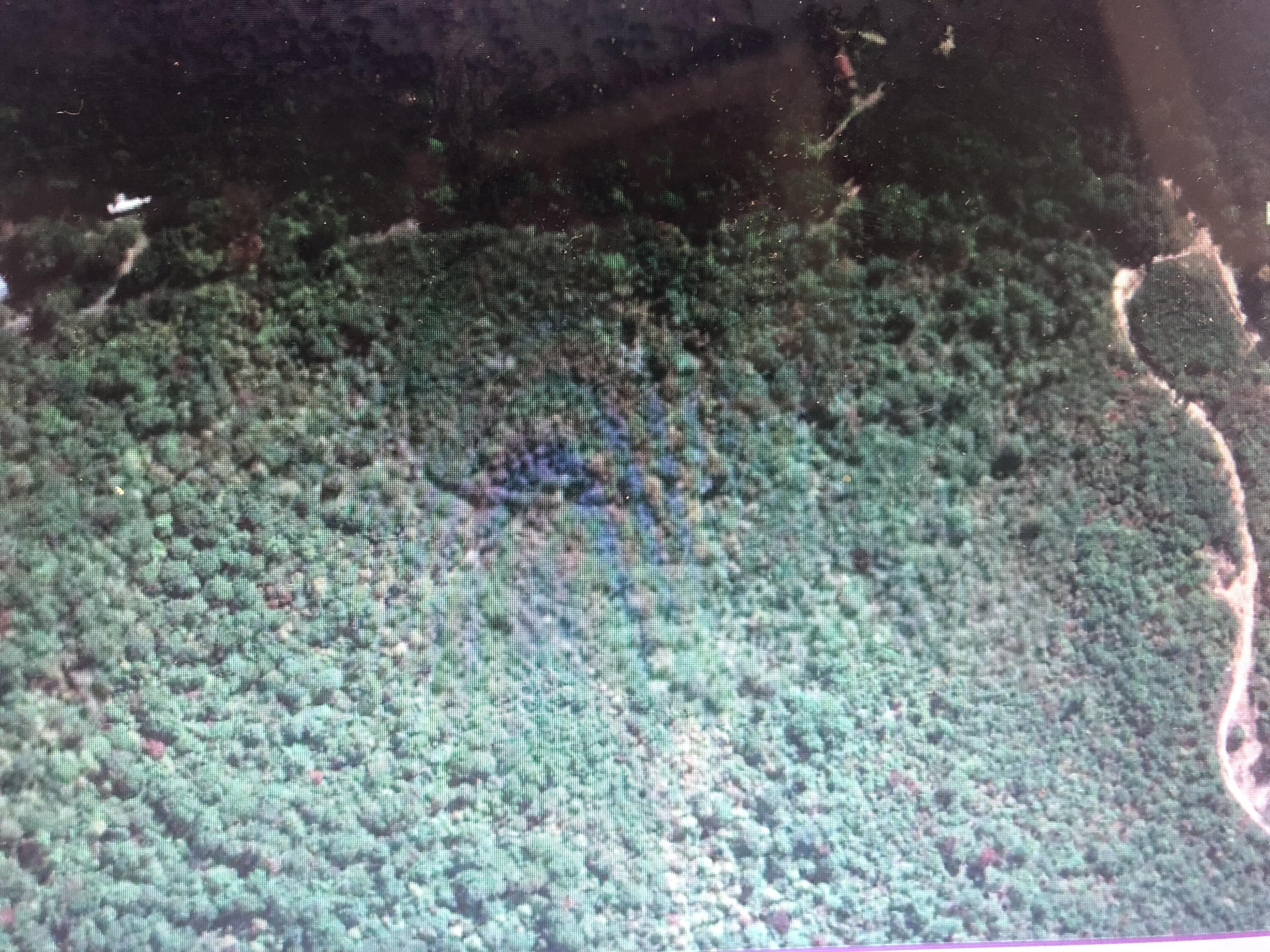 3 Lusk Loop Road Property Photo 2