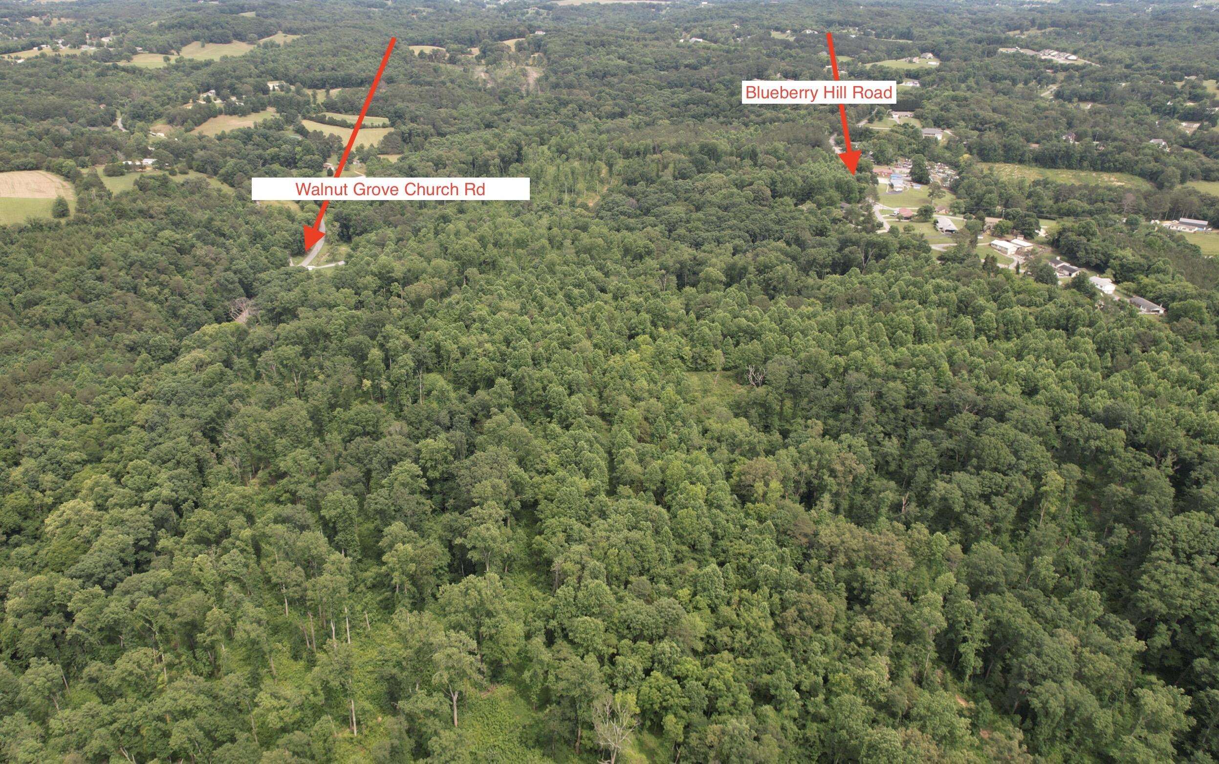 00 Rhea County Highway Property Photo 3
