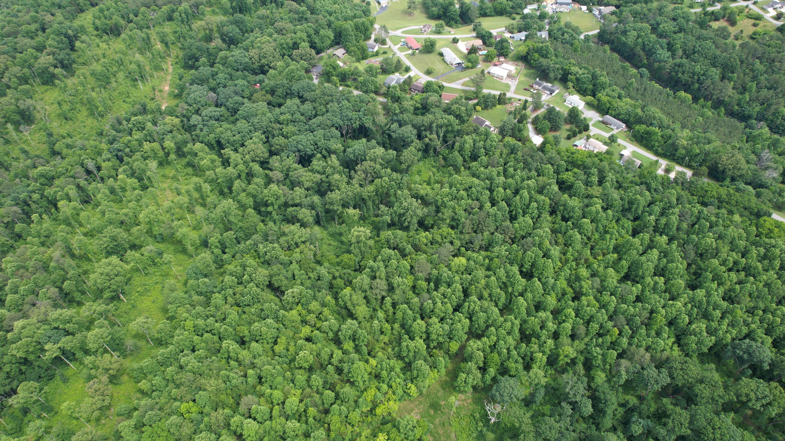00 Rhea County Highway Property Photo 9