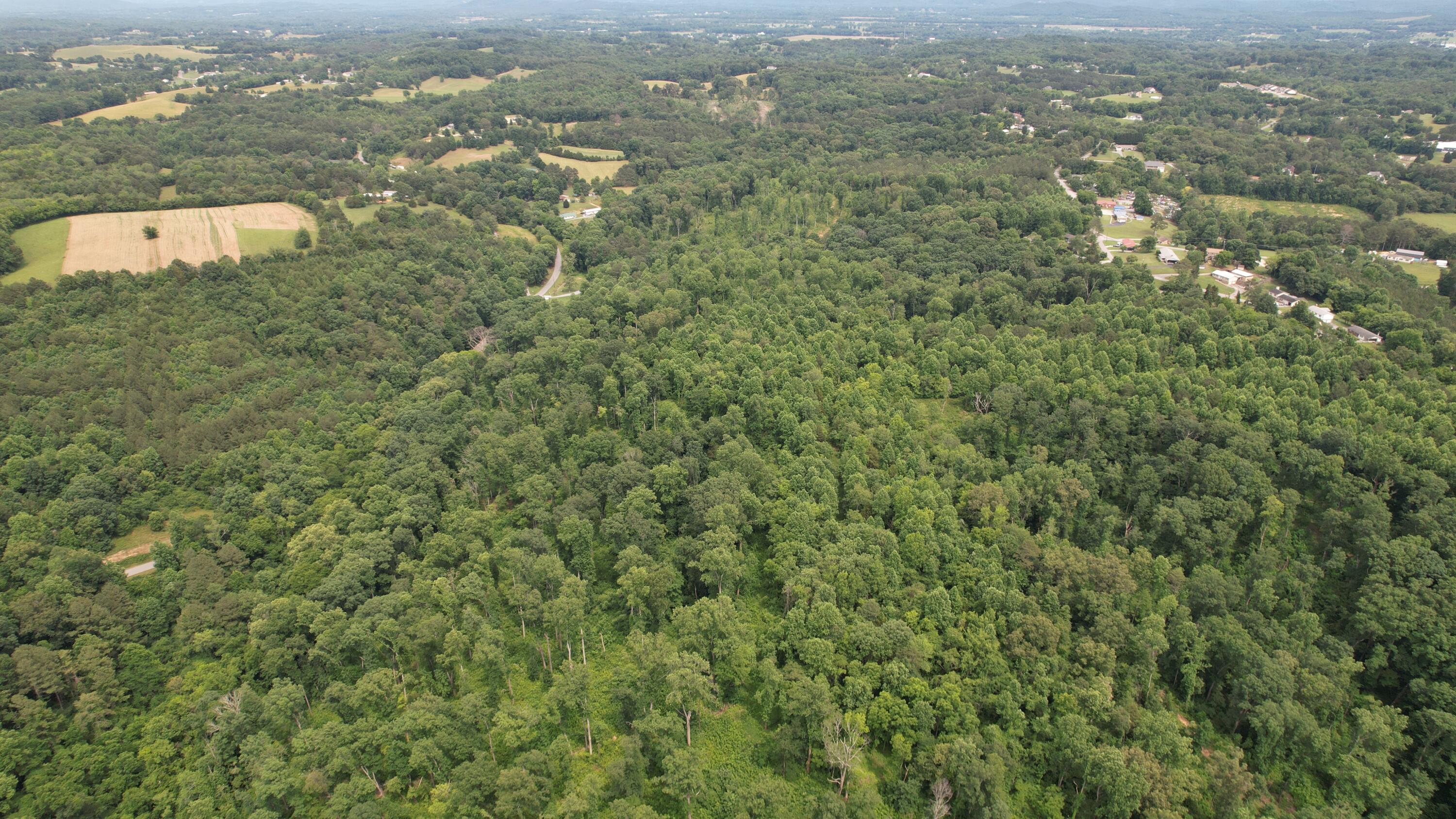 00 Rhea County Highway Property Photo 11