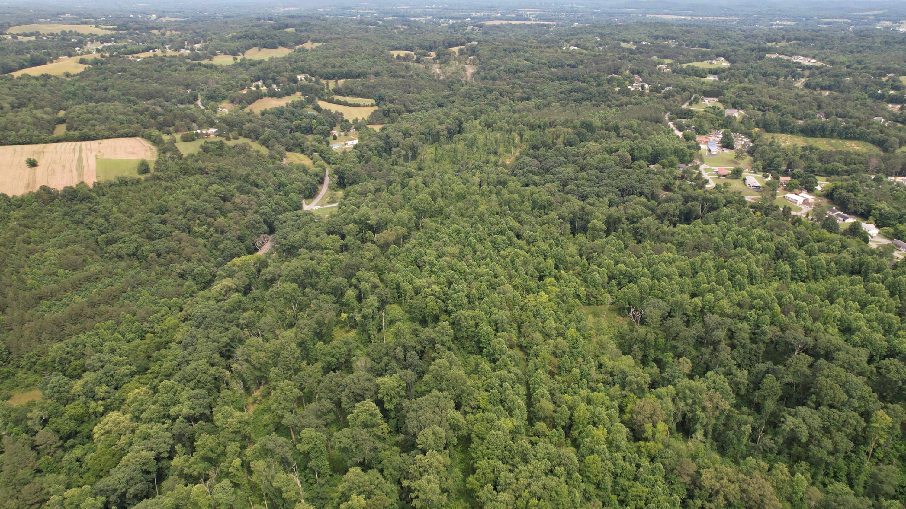 00 Rhea County Highway Property Photo 14