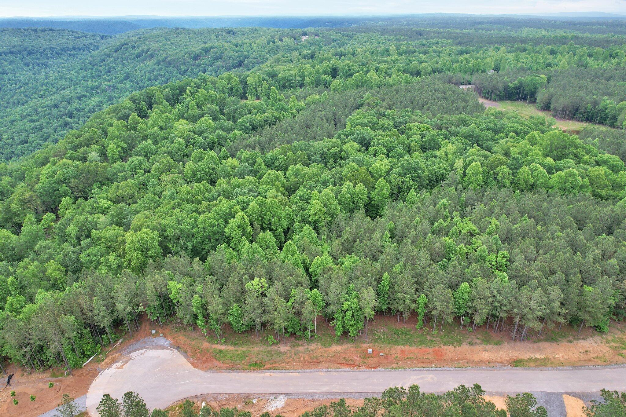 0 Waterwheel Way Property Photo 14