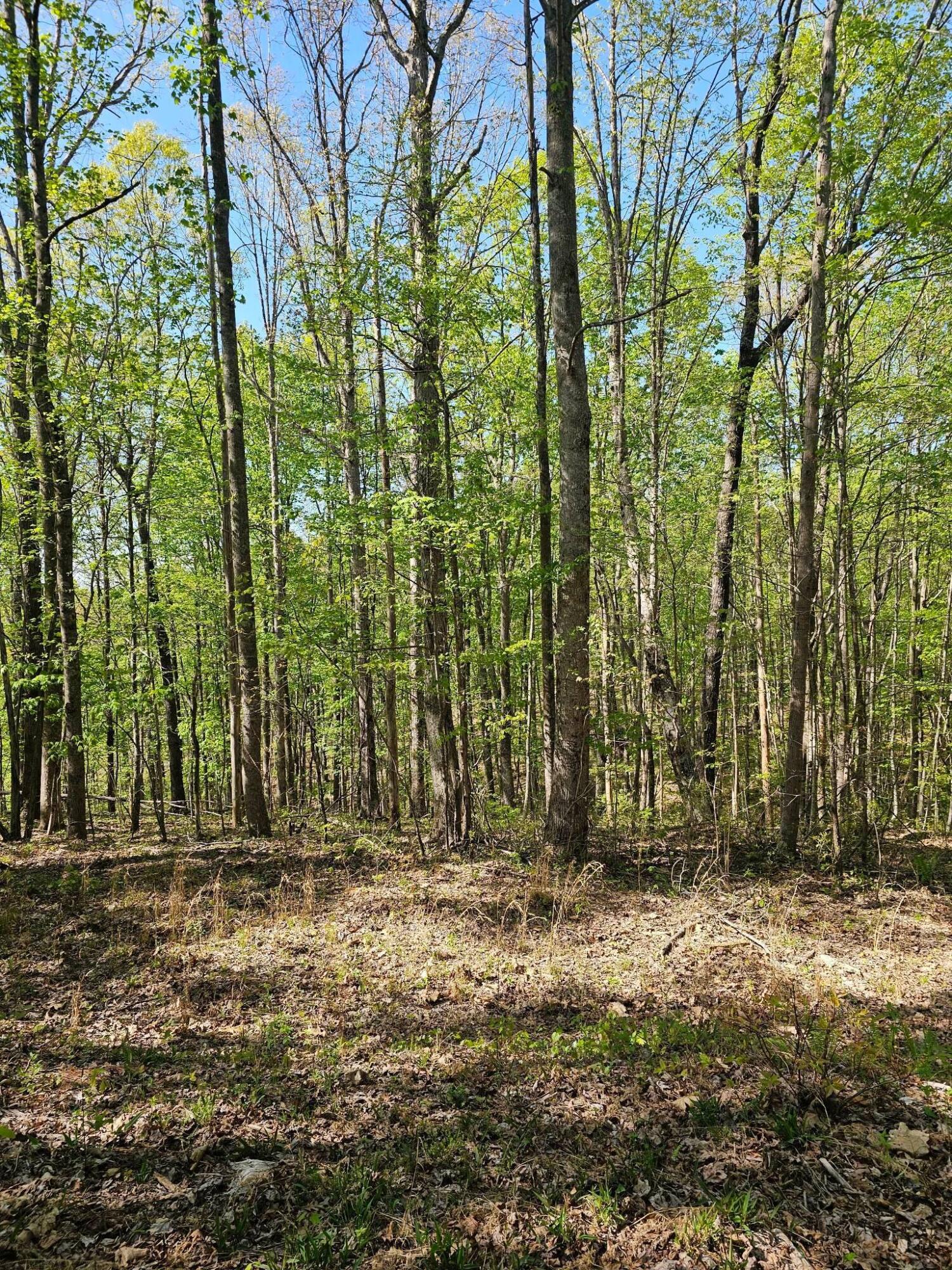 0 Waterwheel Way Property Photo 19