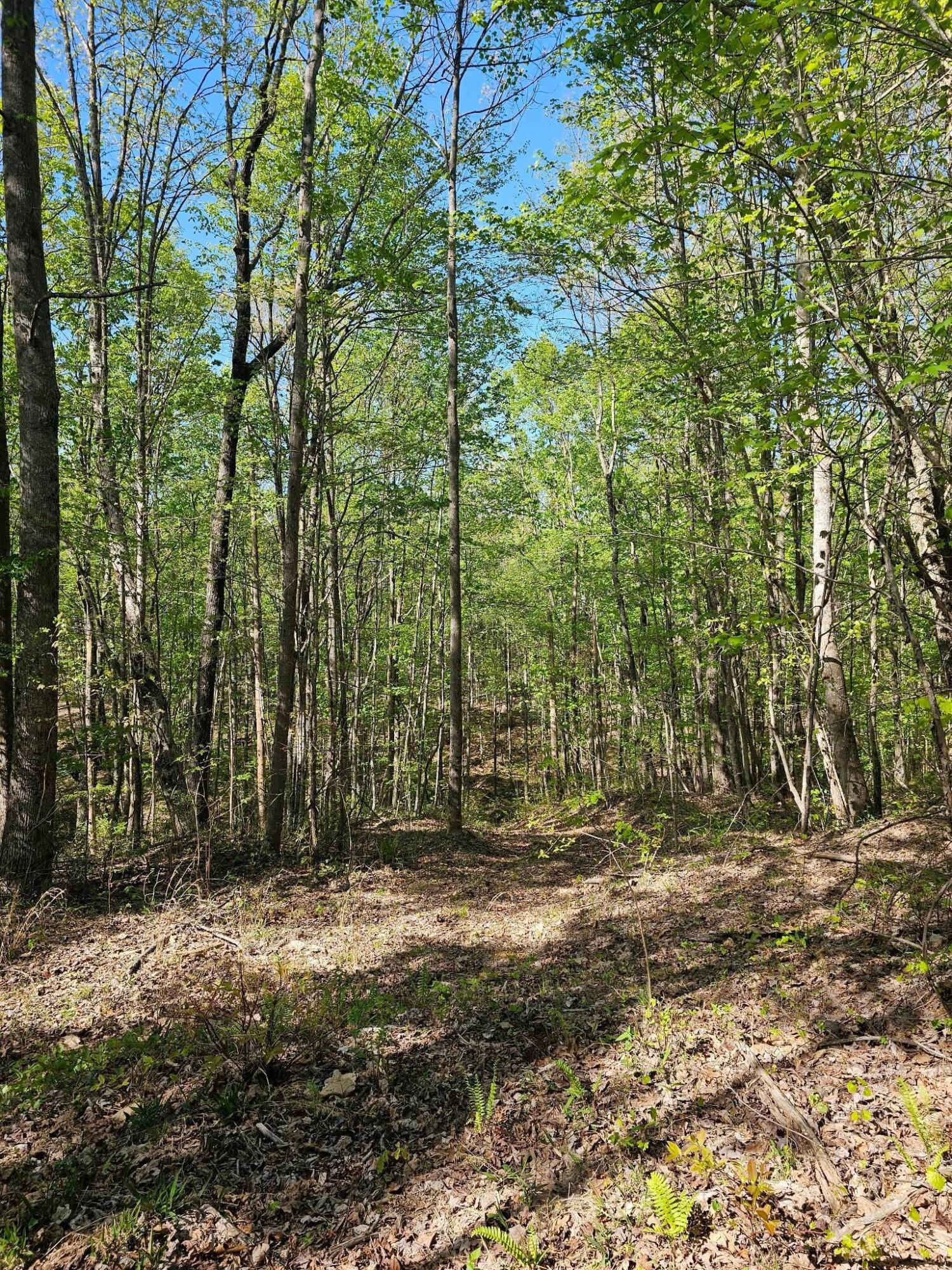 0 Waterwheel Way Property Photo 21