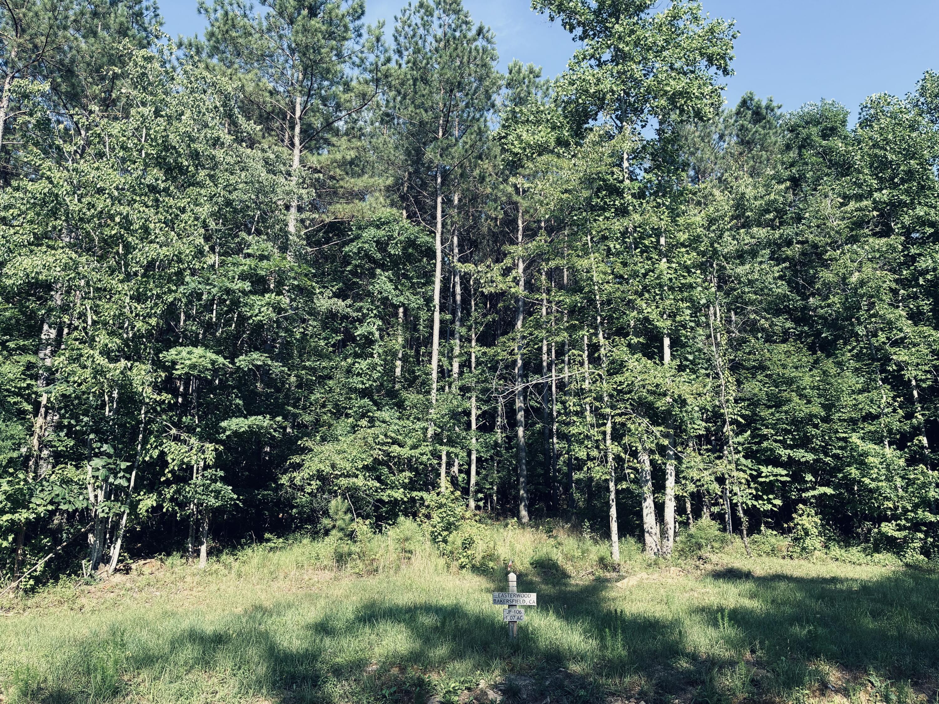 4910 Raulston Falls Road Property Photo 2