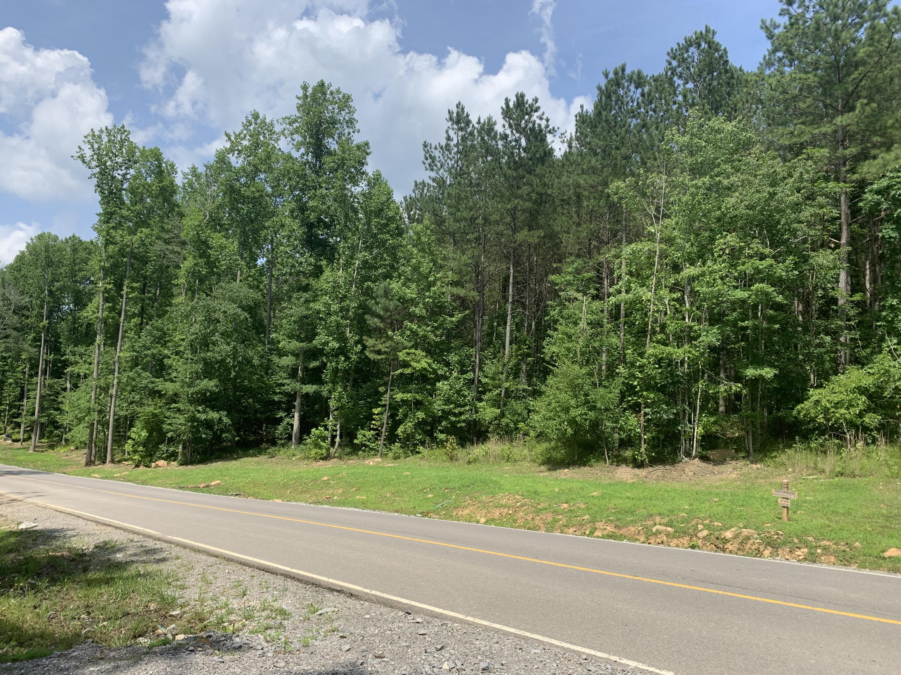 4910 Raulston Falls Road Property Photo 9