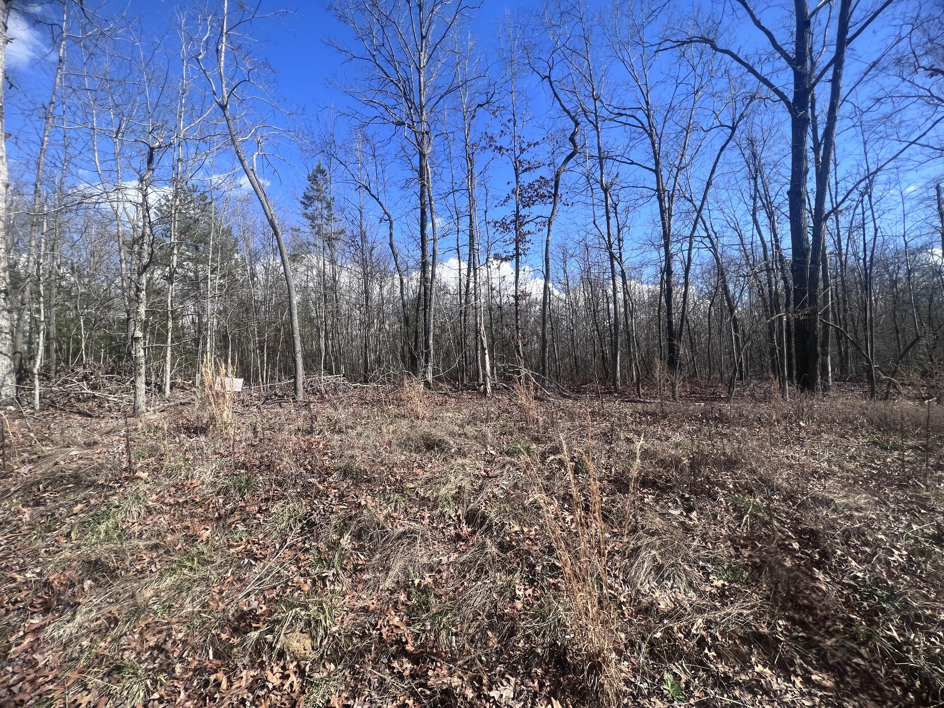 0 Kyuga Drive Property Photo 3