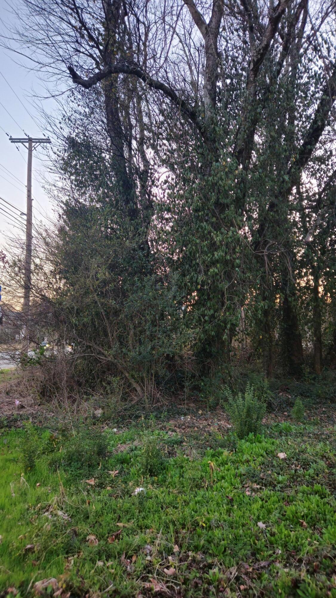 8203 Old Lee Highway Property Photo 4