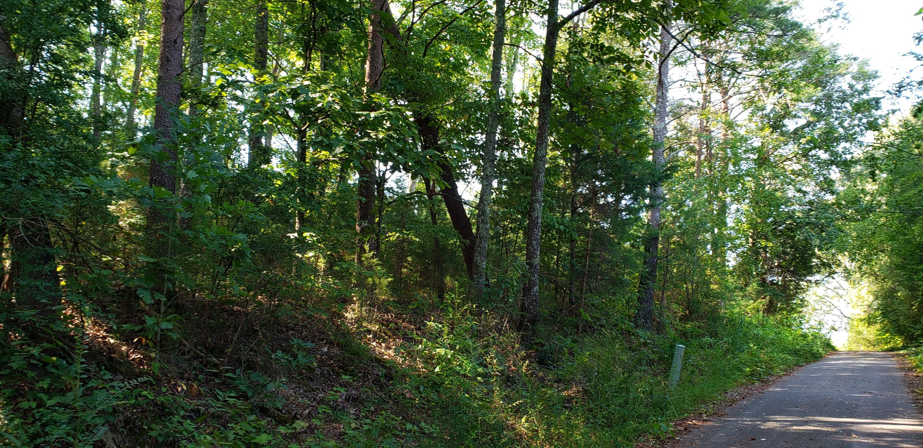 0 Treeline Drive Property Photo 1