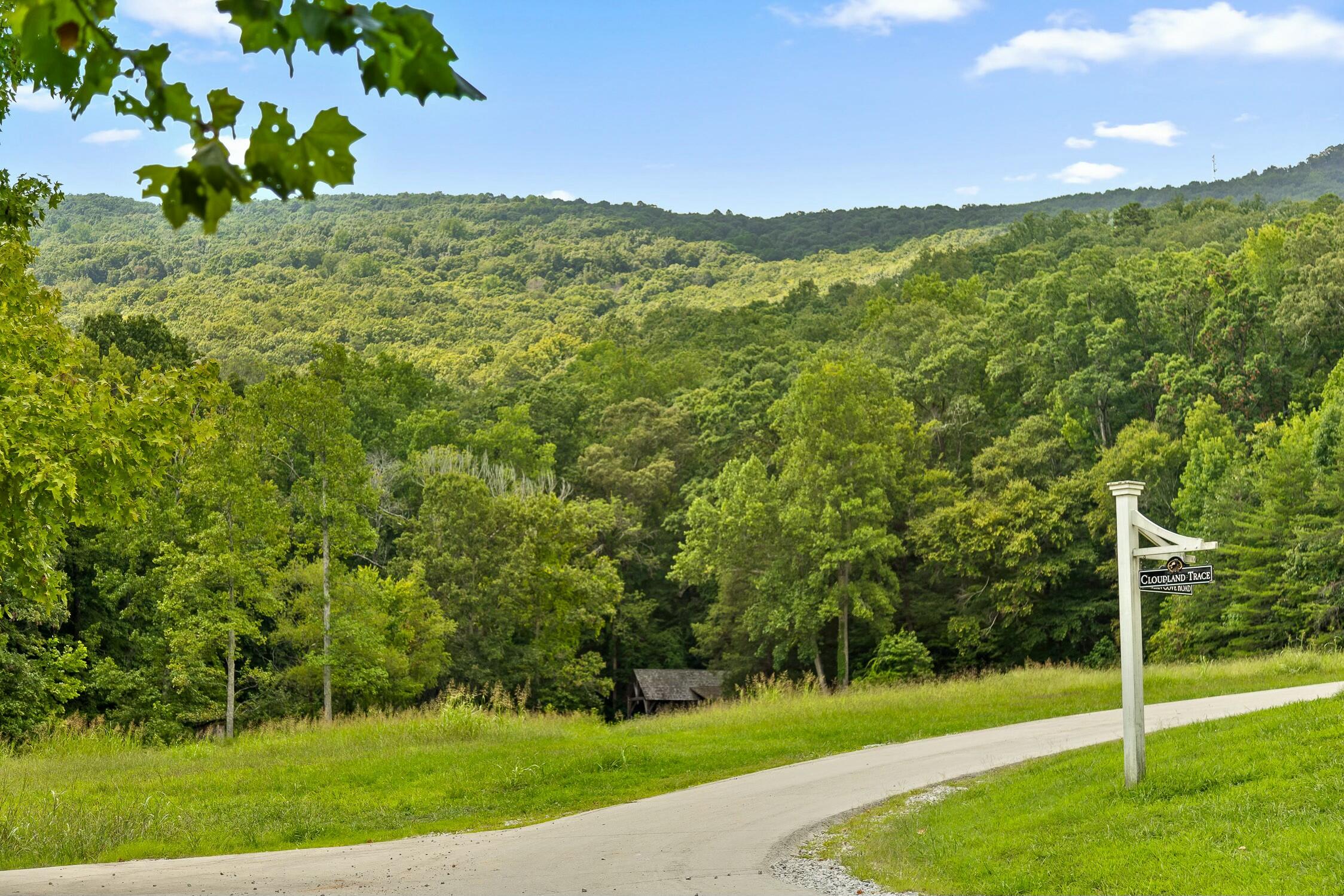 0 Cloudland Trace Property Photo 29