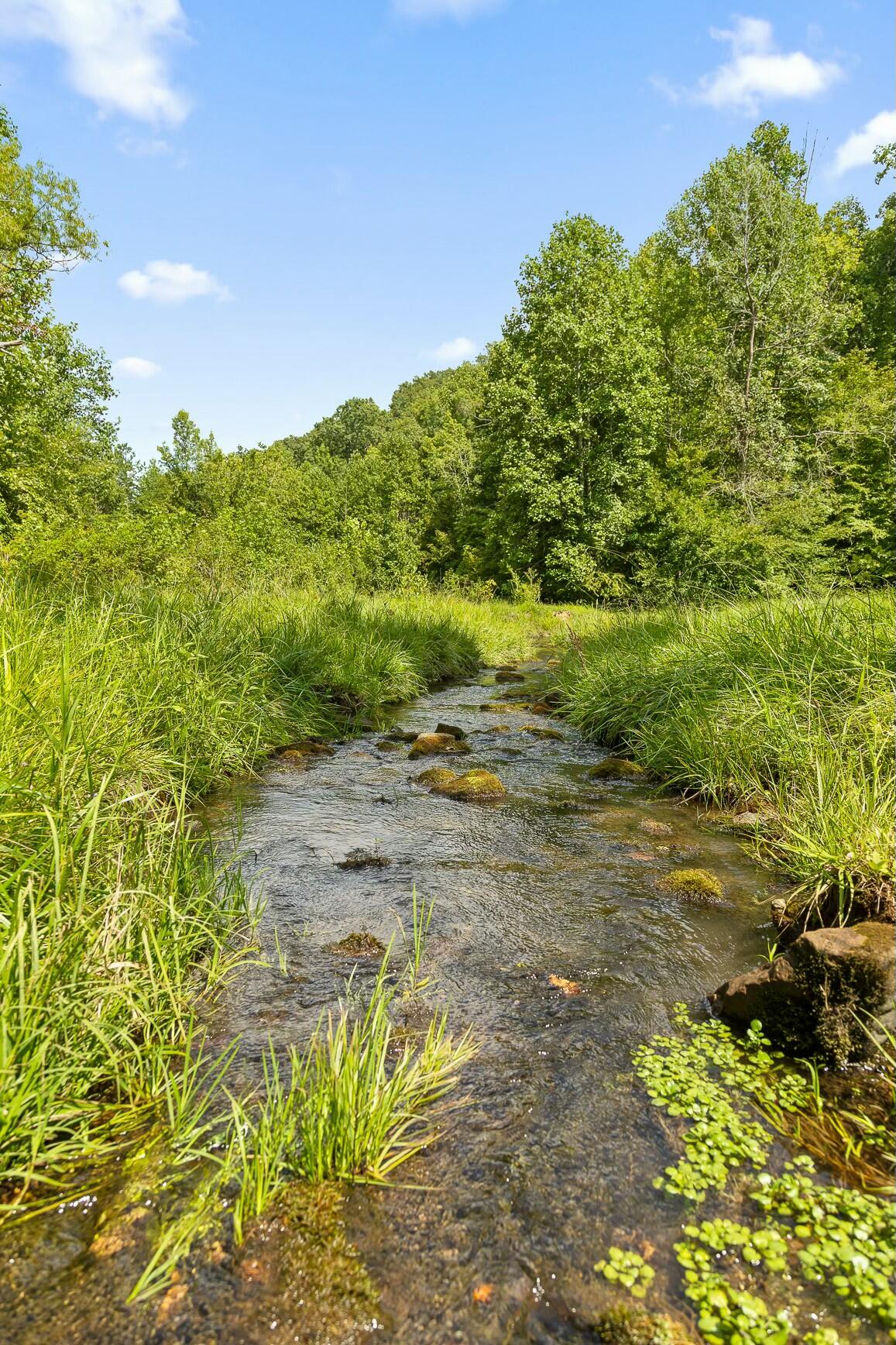0 Cloudland Trace Property Photo 38