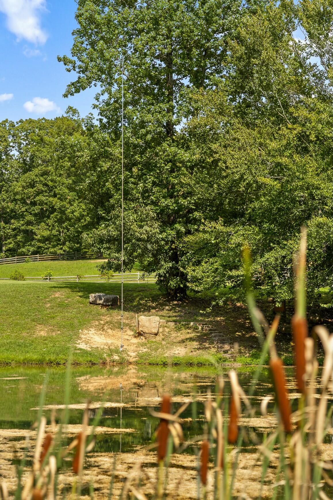0 Cloudland Trace Property Photo 52