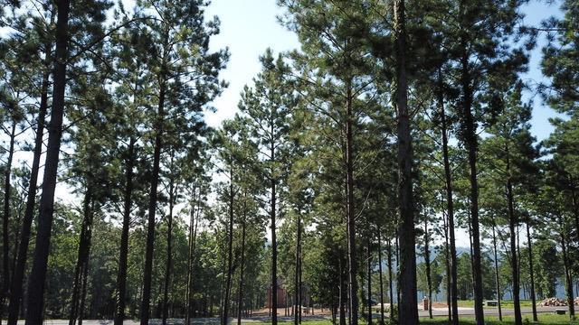 0 Sunset Circle Property Photo 3