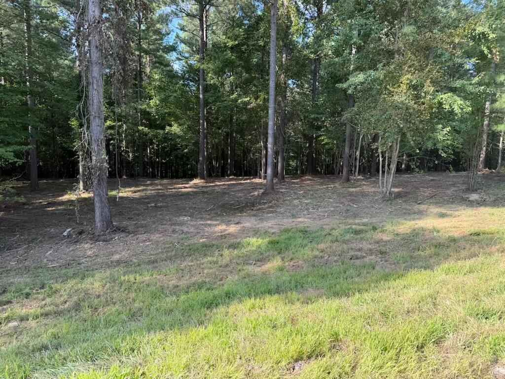 3715 Split Rail Way Property Photo 2