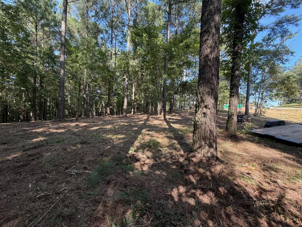 3715 Split Rail Way Property Photo 4