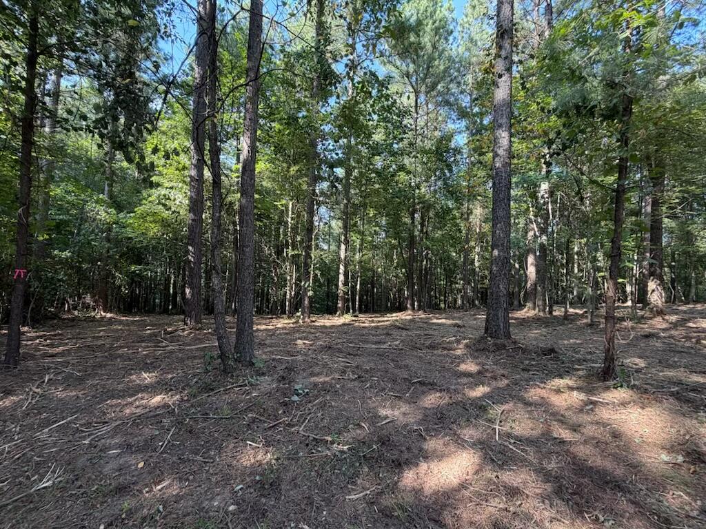 3715 Split Rail Way Property Photo 6
