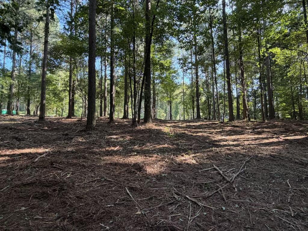 3715 Split Rail Way Property Photo 13