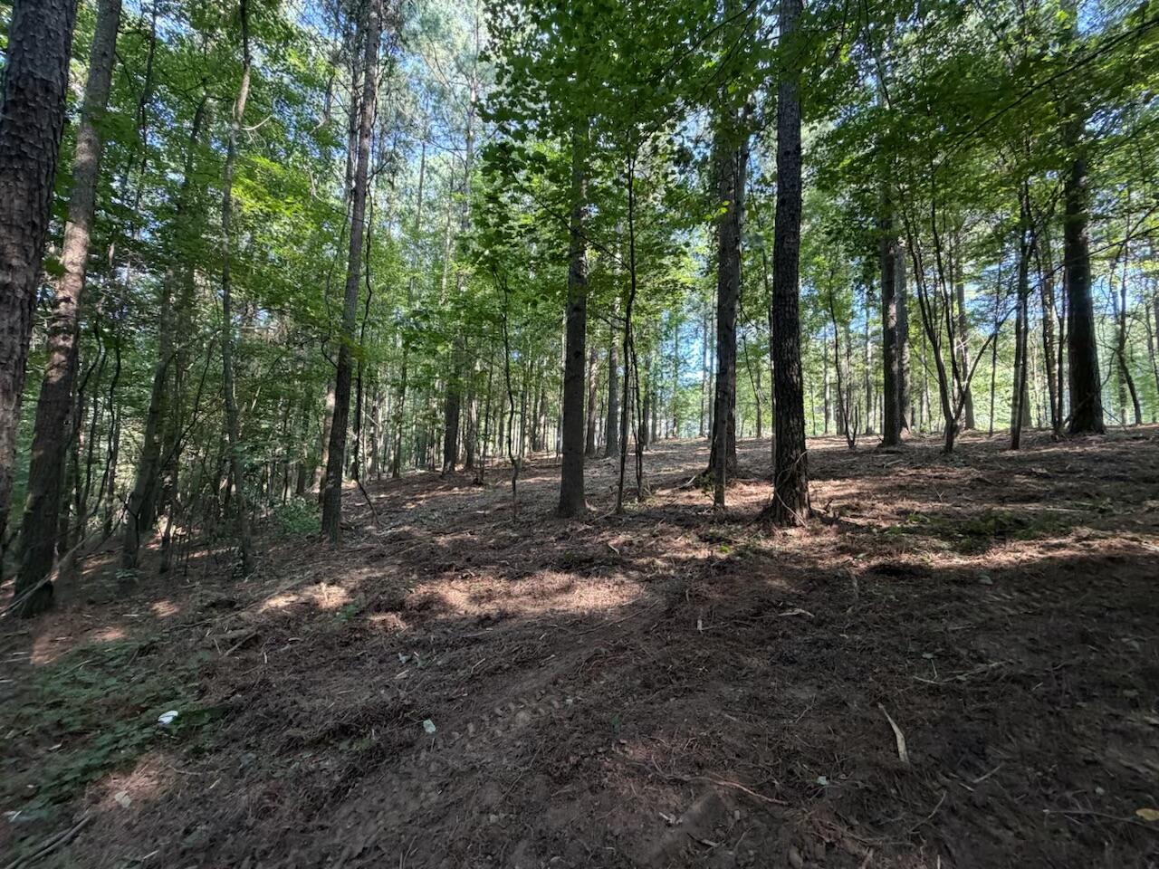 3715 Split Rail Way Property Photo 16