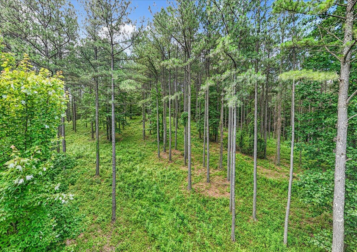 3715 Split Rail Way Property Photo 28