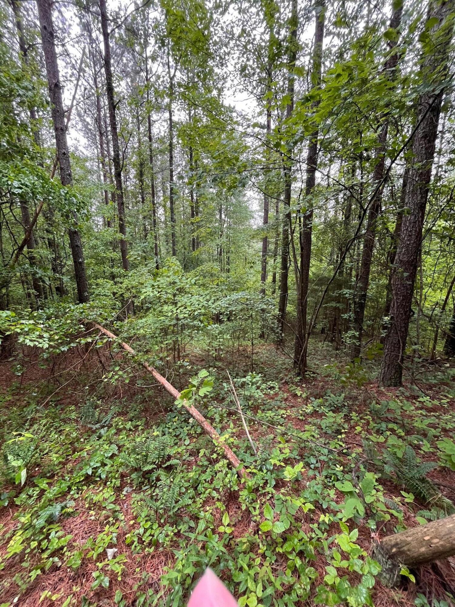 3715 Split Rail Way Property Photo 34