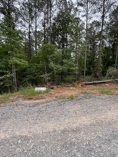 3715 Split Rail Way Property Photo 37
