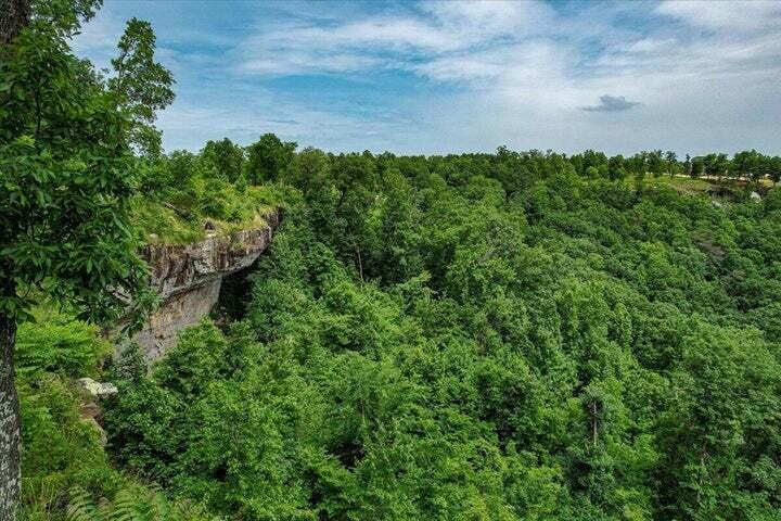 640 River Bluffs Drive Property Photo 6