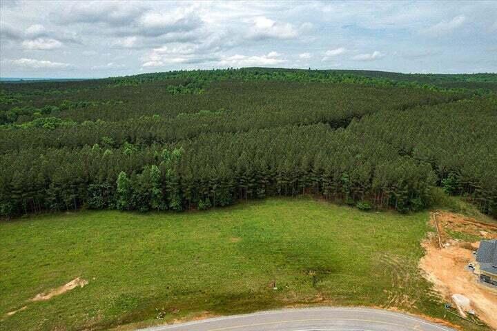 640 River Bluffs Drive Property Photo 27