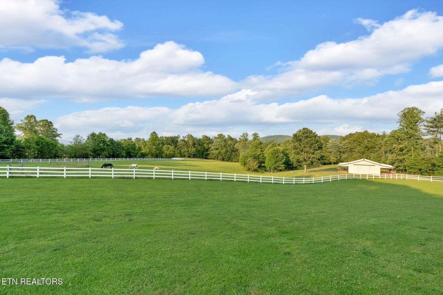 596 Clifty Creek Road Property Photo 59