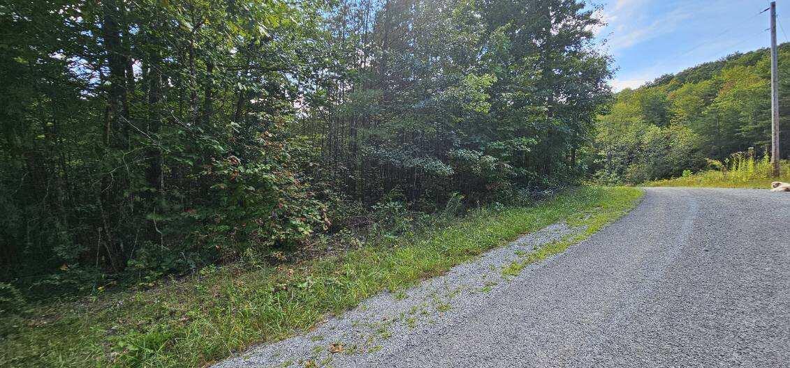 Lot 13 Bear Wallow Rd Property Photo 1