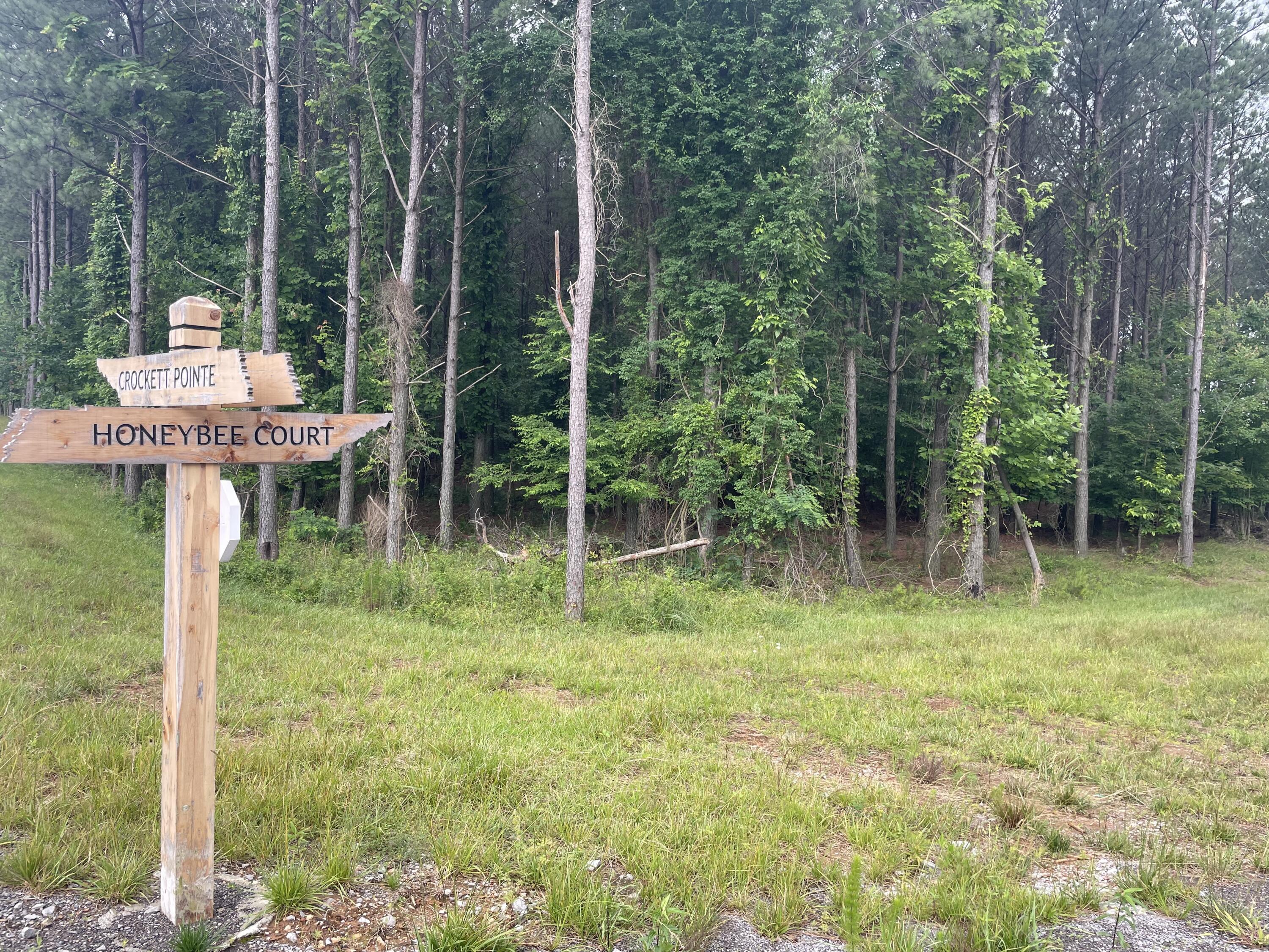 135 Honeybee Court Property Photo 2