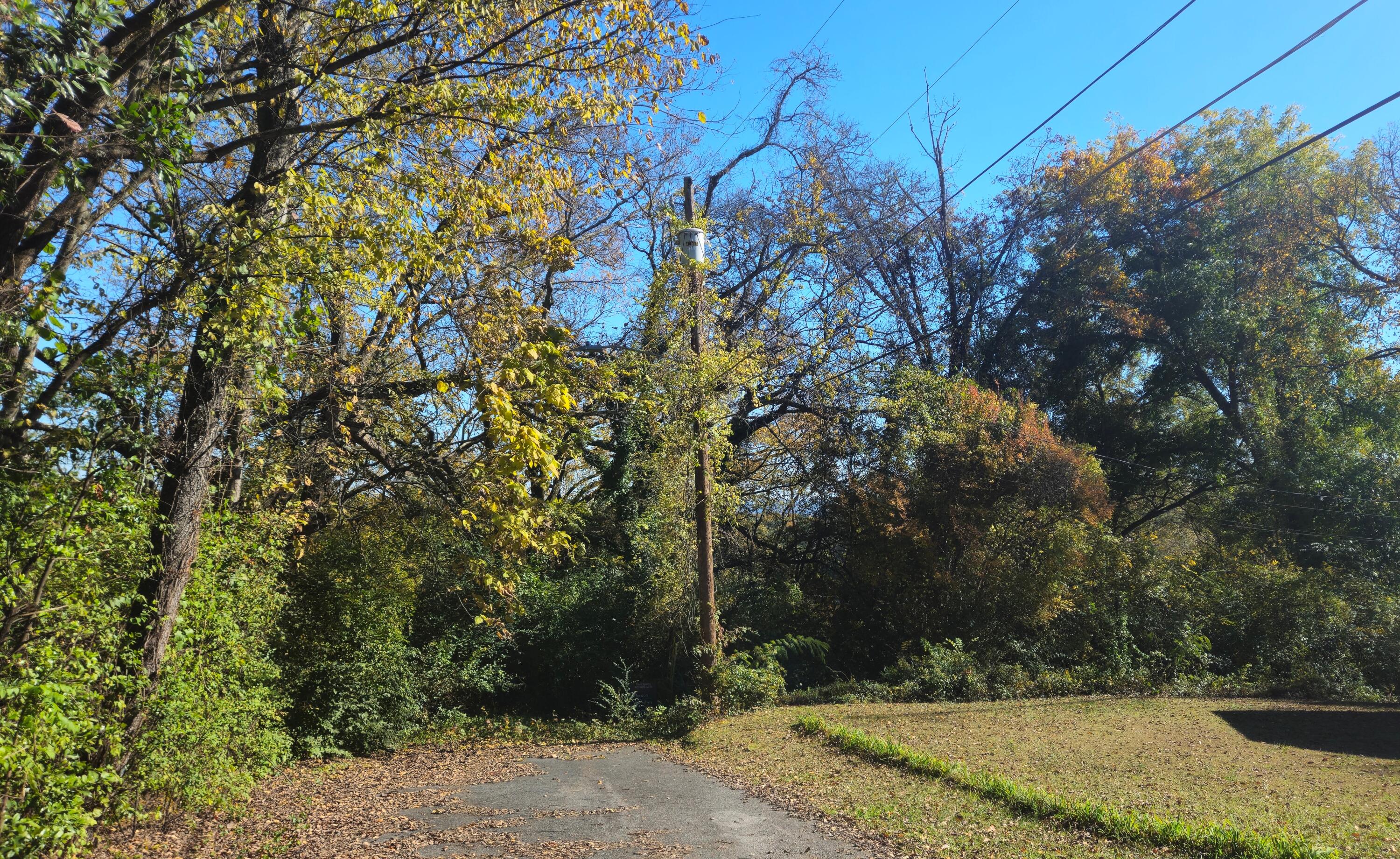 3168 Chickalilly Drive Property Photo 1
