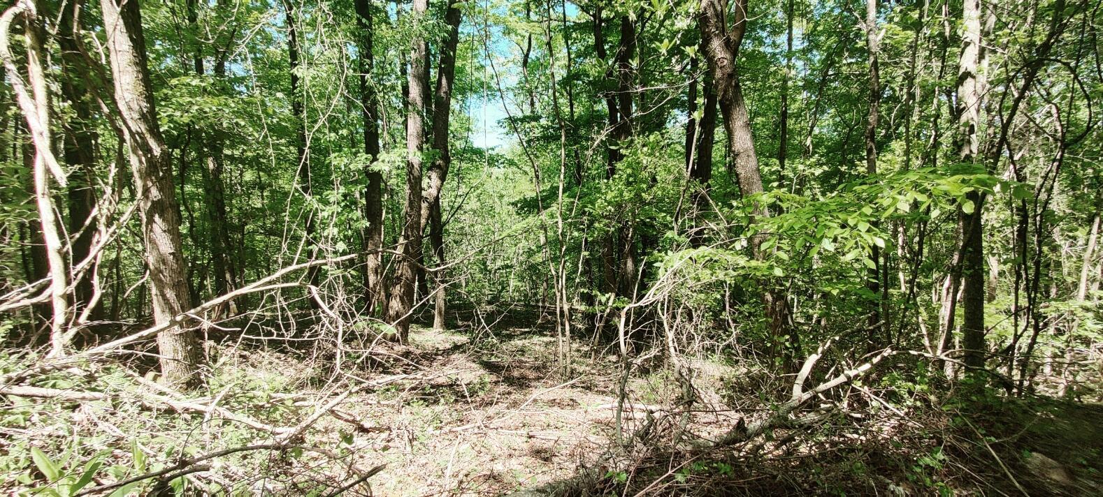 0 Coburntown (lot 13) Road Property Photo 1