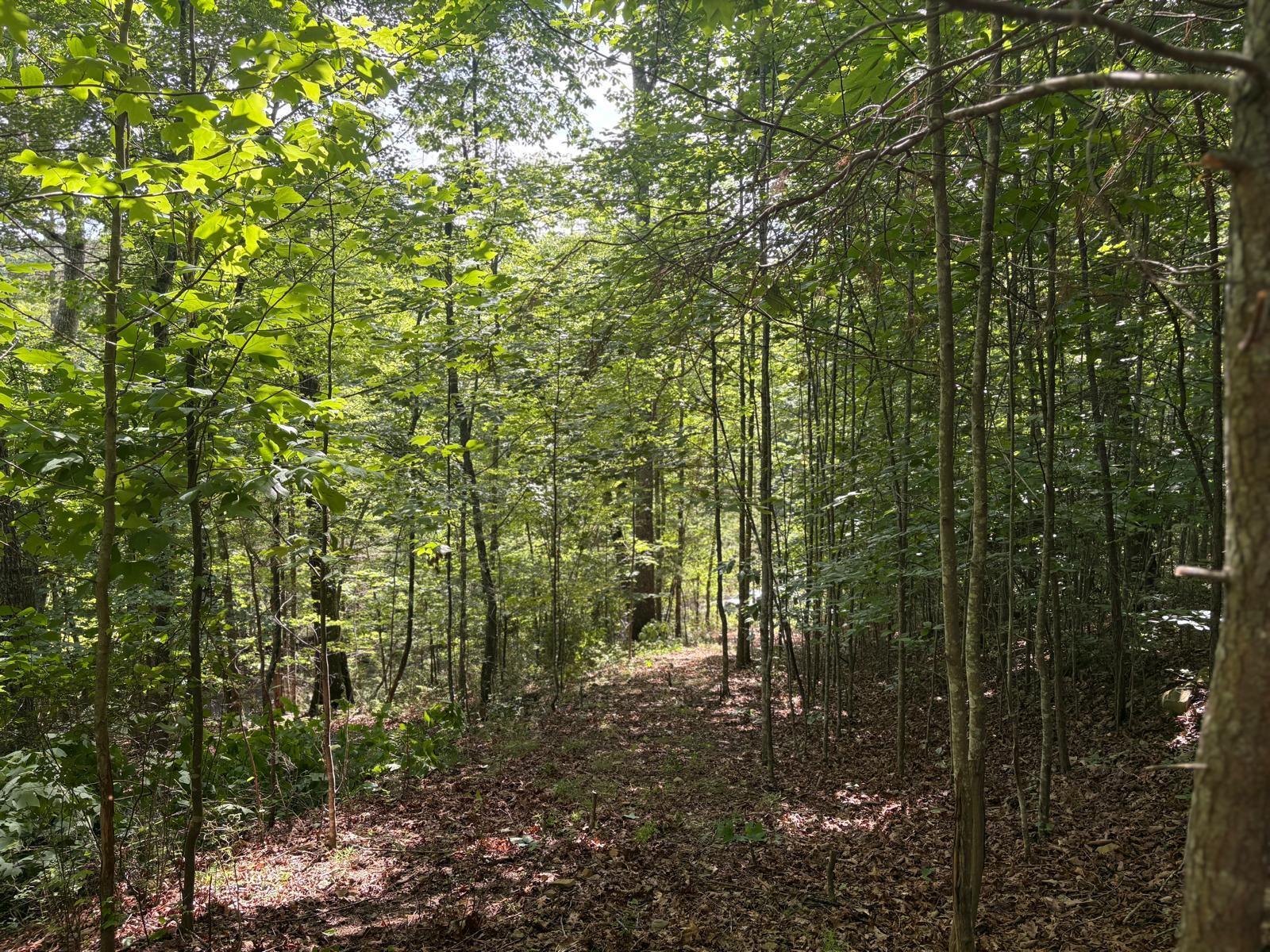 Lot 202 Deep Woods Drive Property Photo 1