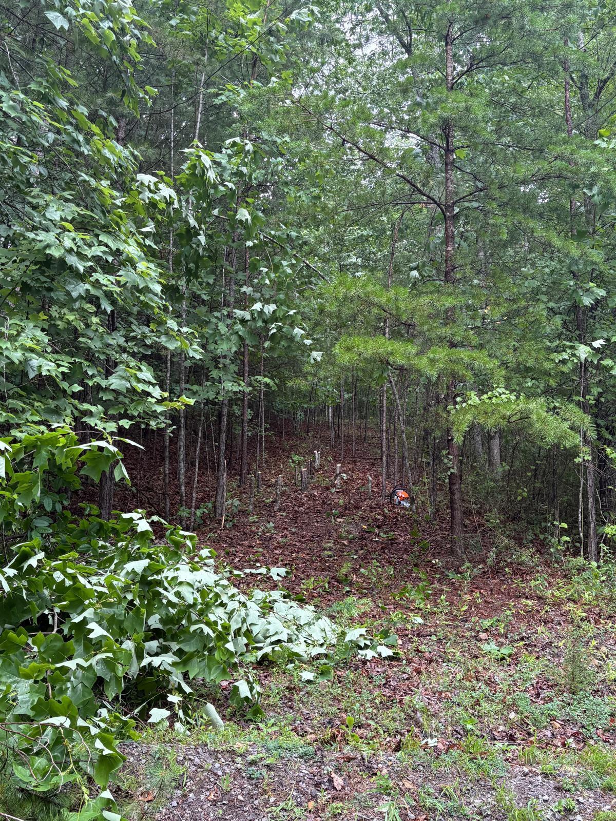 Lot 202 Deep Woods Drive Property Photo 3