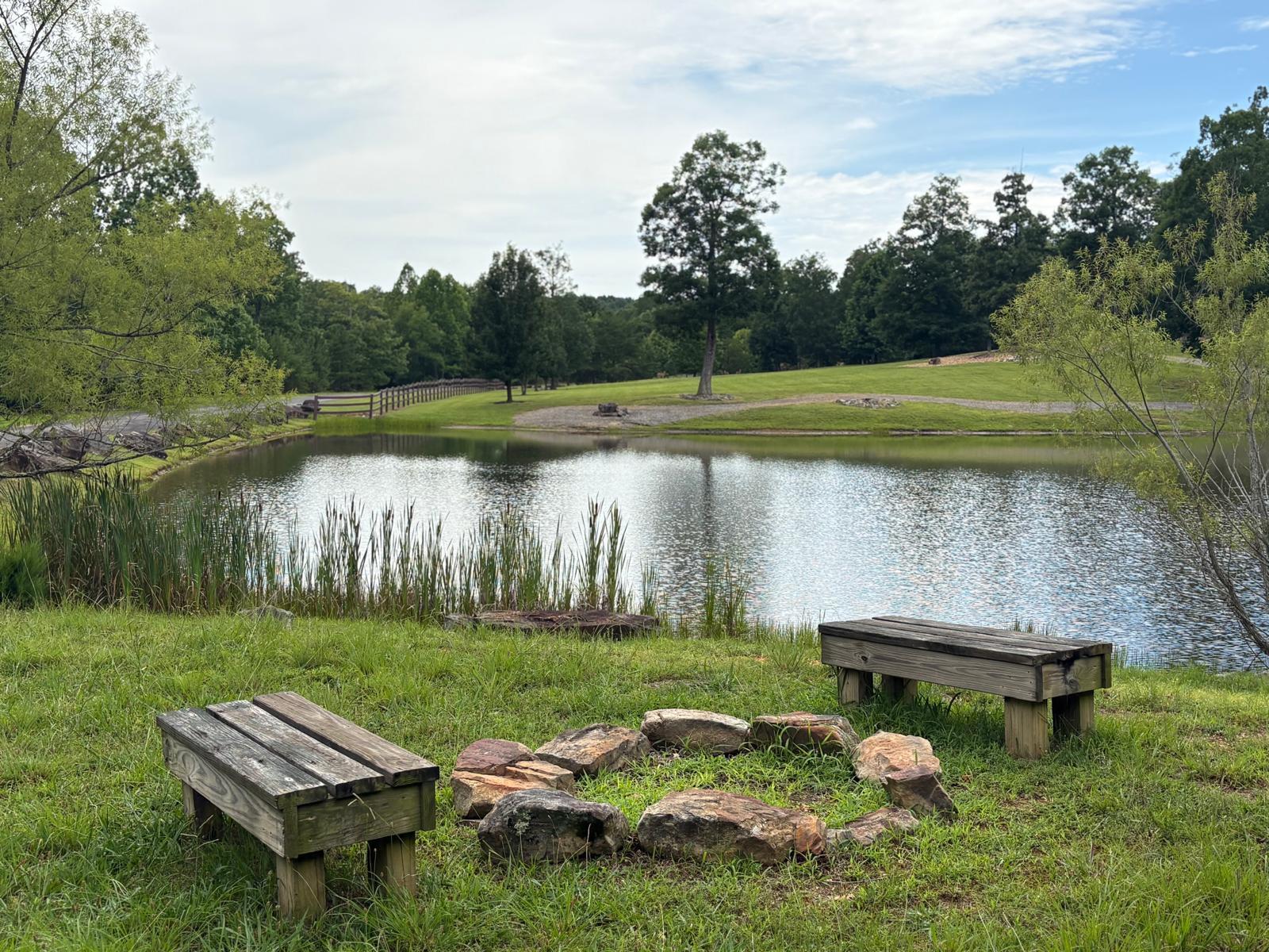 Lot 202 Deep Woods Drive Property Photo 4