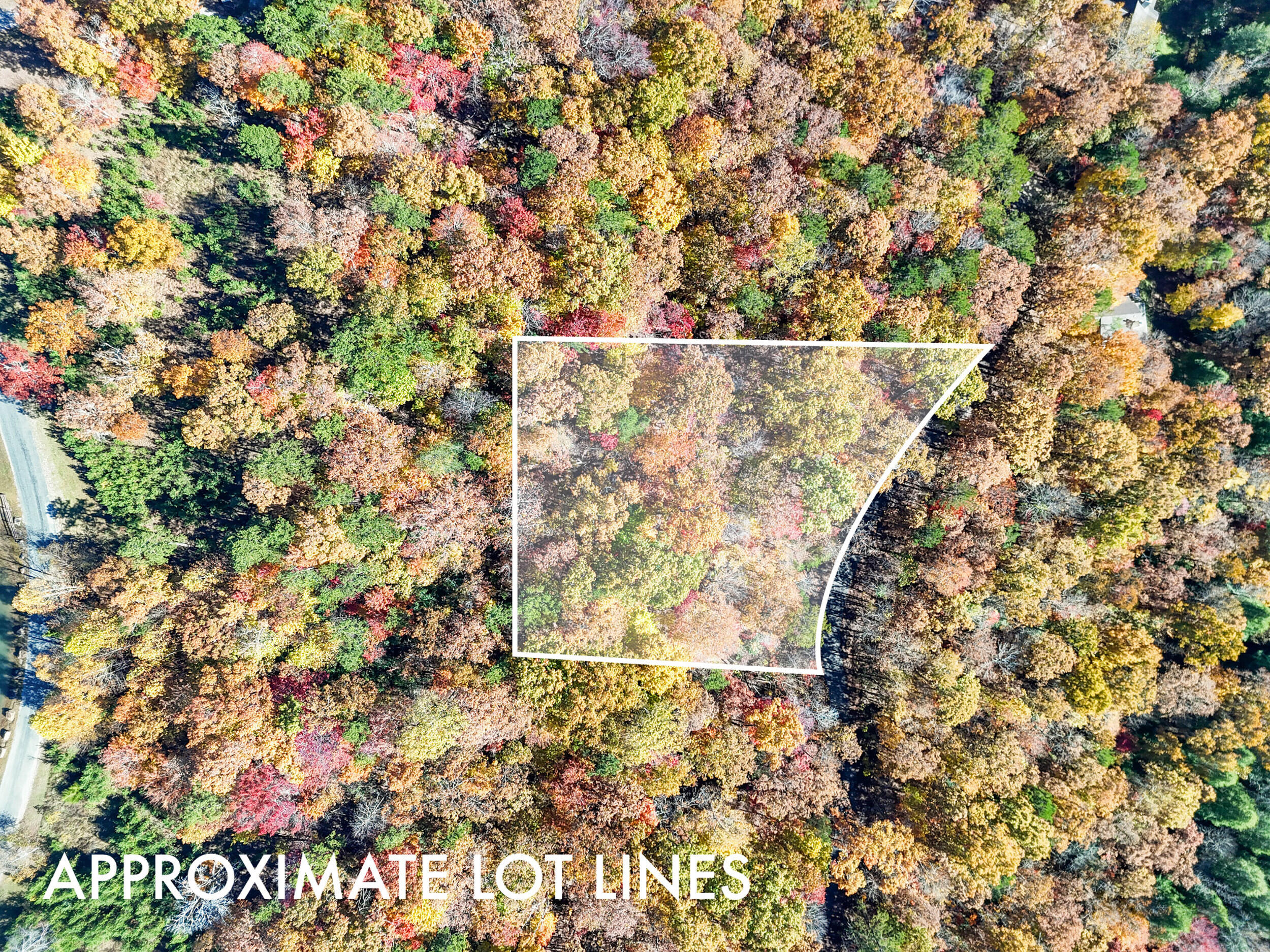 Lot 202 Deep Woods Drive Property Photo 5