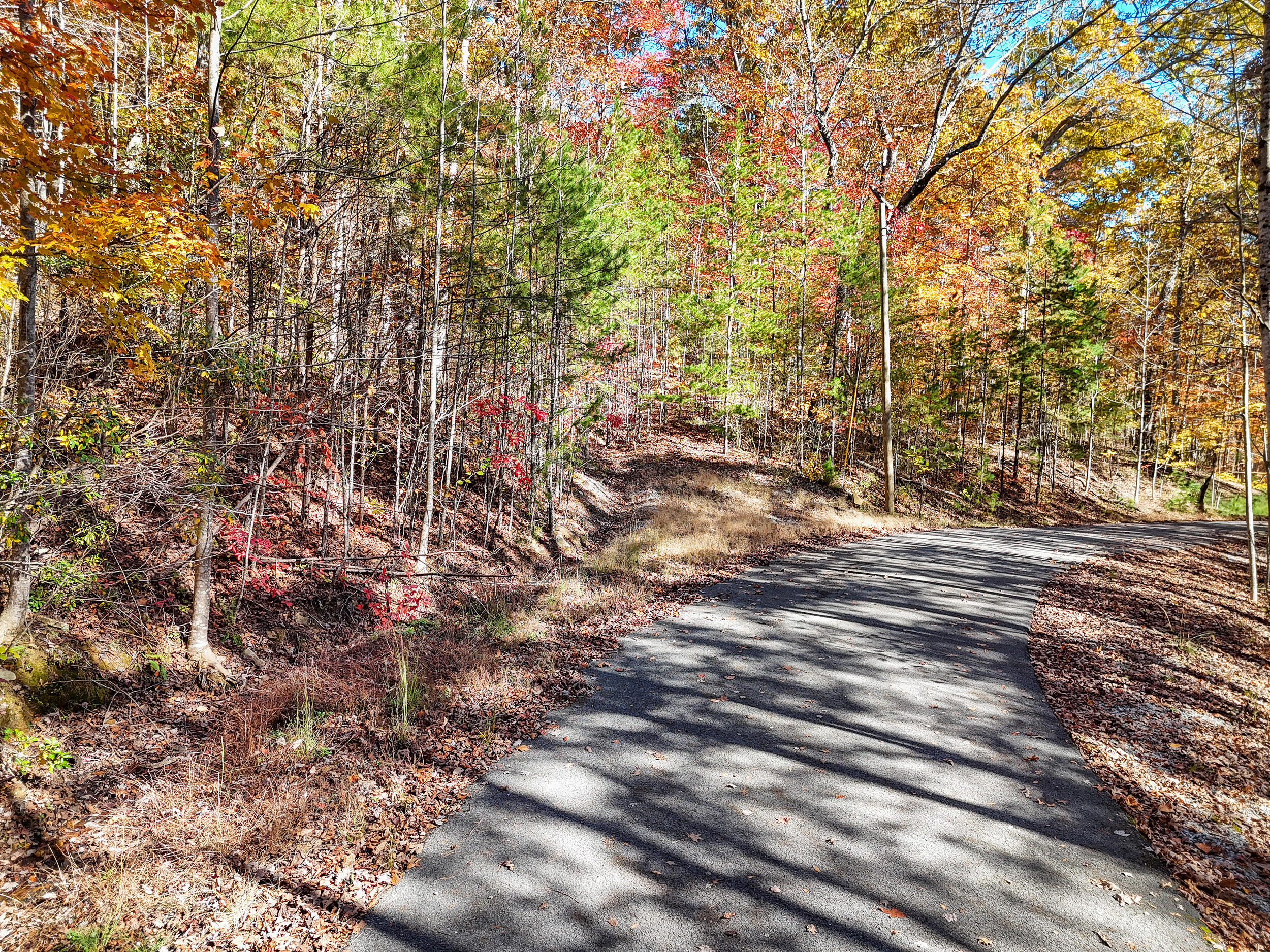 Lot 202 Deep Woods Drive Property Photo 8